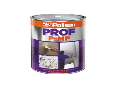 POLİSAN NEM BOYASI KOKUSUZ 1 KG